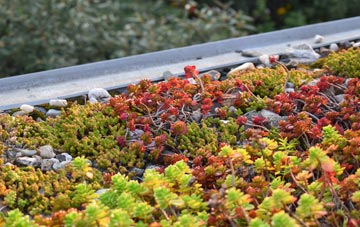 the cost of Mugdock green roof installation